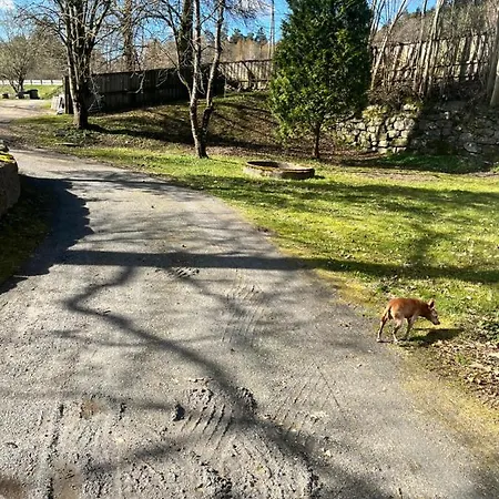 Sagestua V/nidelva I Grimstad - Laksefiske Sone 3 Grimstad (Aust-Agder)